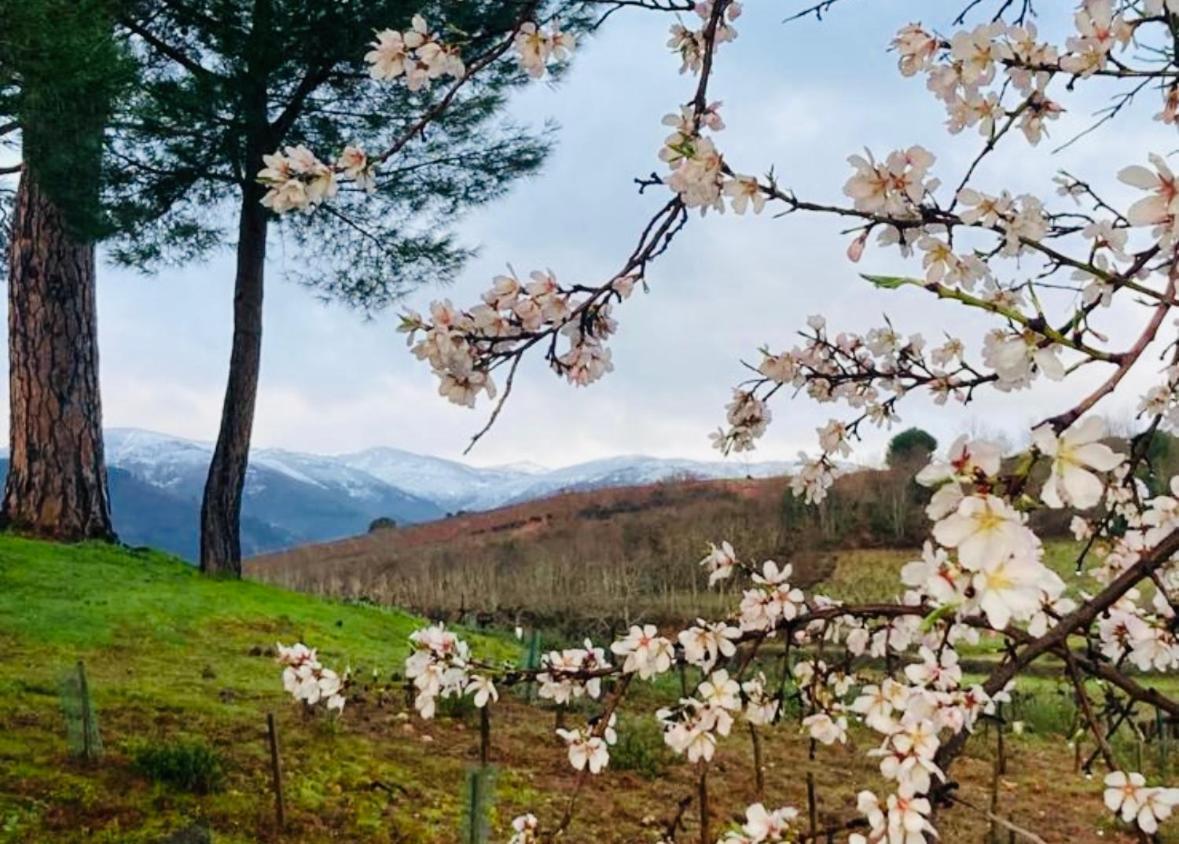 Hotel & Restaurante El Casino Villafranca del Bierzo Kültér fotó